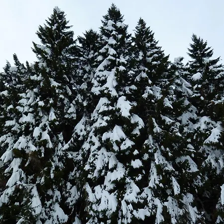 ベッド・アンド・ブレックファスト La Buneta 3*