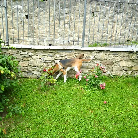 La Buneta Bed & Breakfast