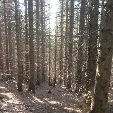 La Buneta Bed & Breakfast