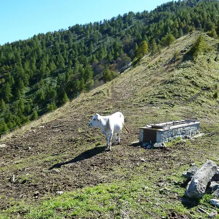 La Buneta Oda ve Kahvaltı
