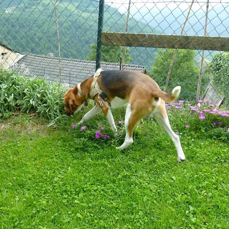 La Buneta Panzió 3*