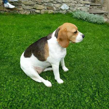 Panzió La Buneta Macra