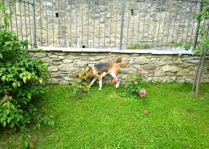 La Buneta Отель типа 