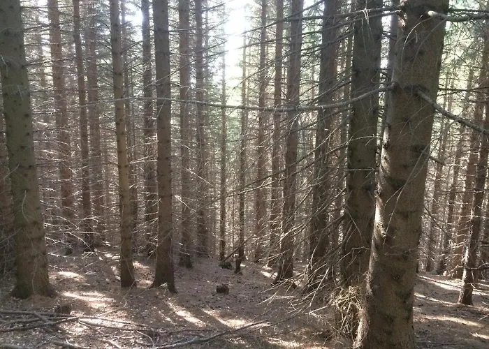 La Buneta Отель типа 