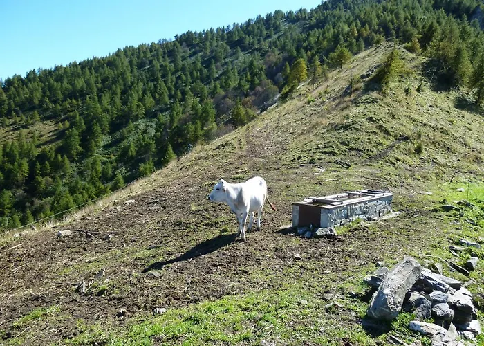 La Buneta Отель типа 