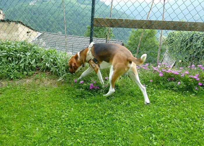 La Buneta Отель типа 