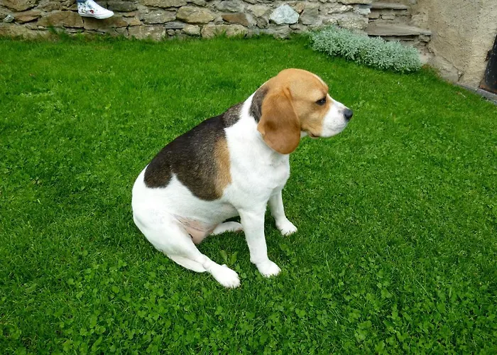 Bed & Breakfast La Buneta Macra